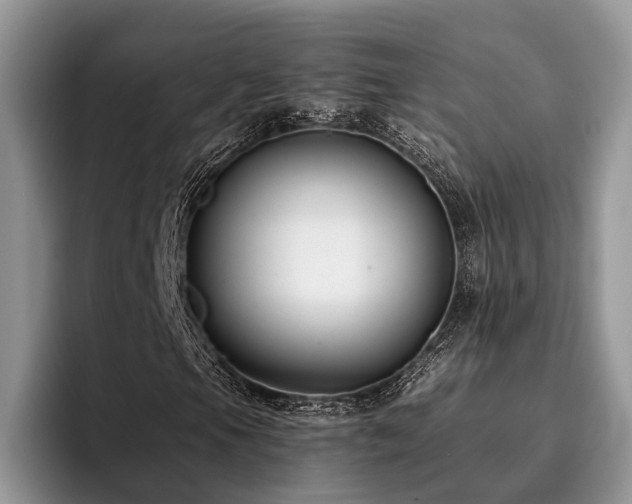 X0000096211105200801181425