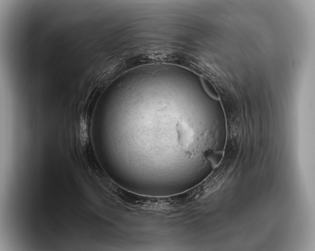 X0000096211106200801181425