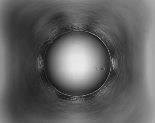 X0000096211107200801181425
