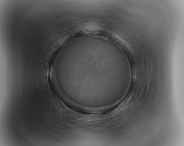 X0000096211108200801181425