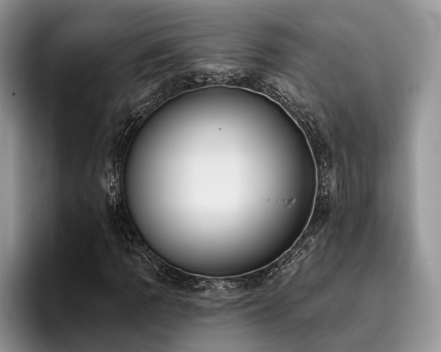 X0000096211109200801181425