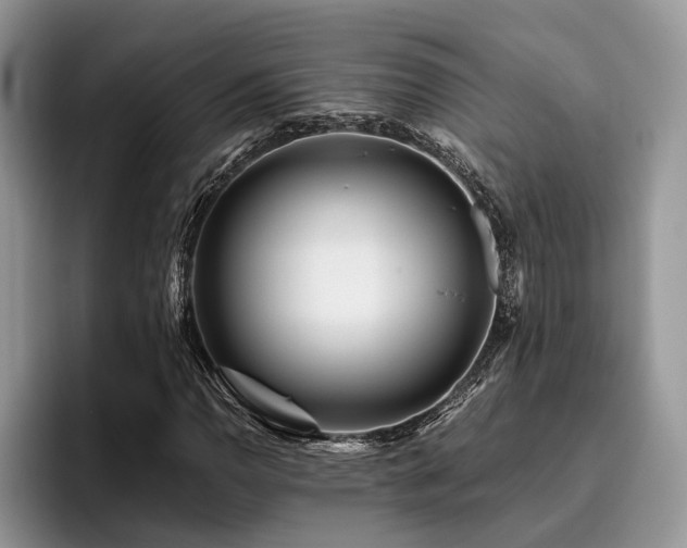 X0000096211110200801181425