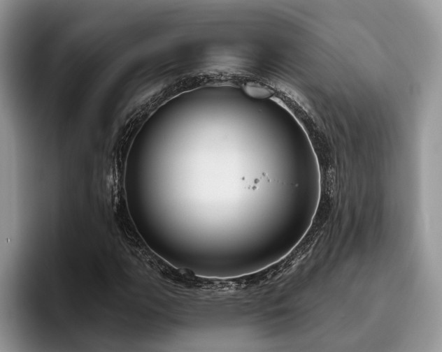 X0000096211111200801181425