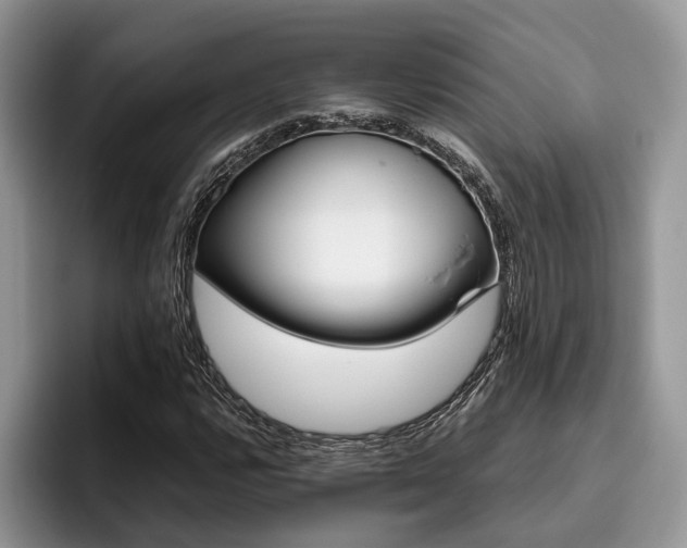 X0000096211112200801181425