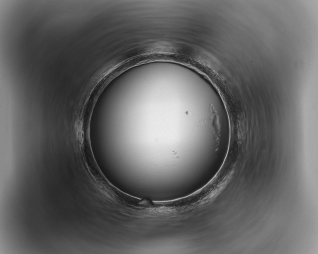X0000096211113200801181425