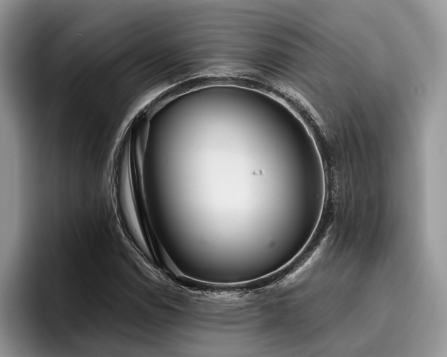 X0000096211114200801181425