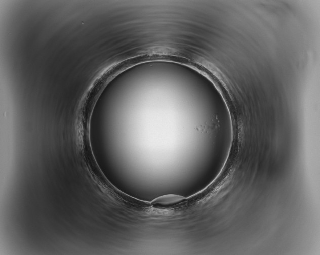 X0000096211115200801181425