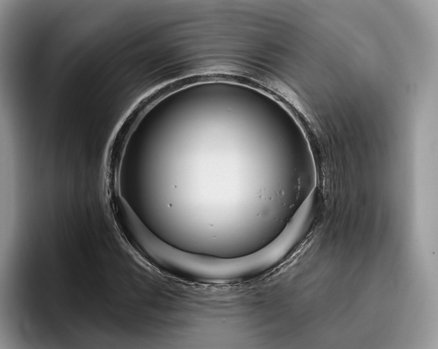 X0000096211116200801181425