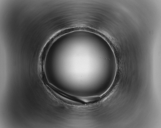 X0000096211118200801181425