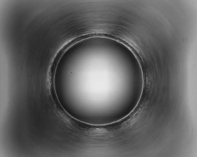 X0000096211119200801181425