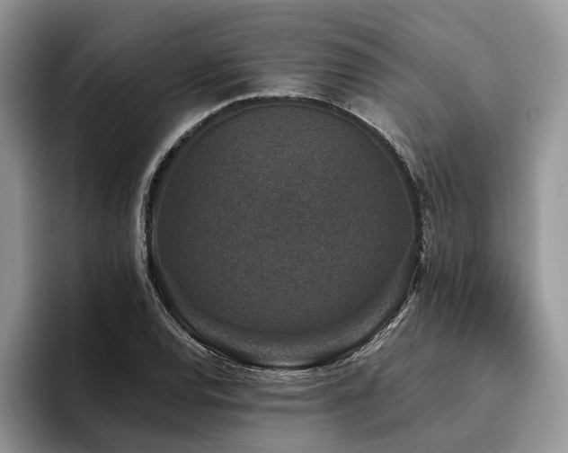 X0000096211120200801181425