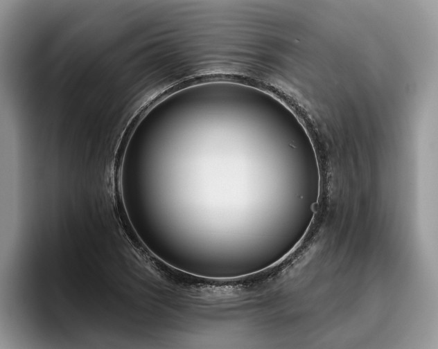 X0000096211121200801181425