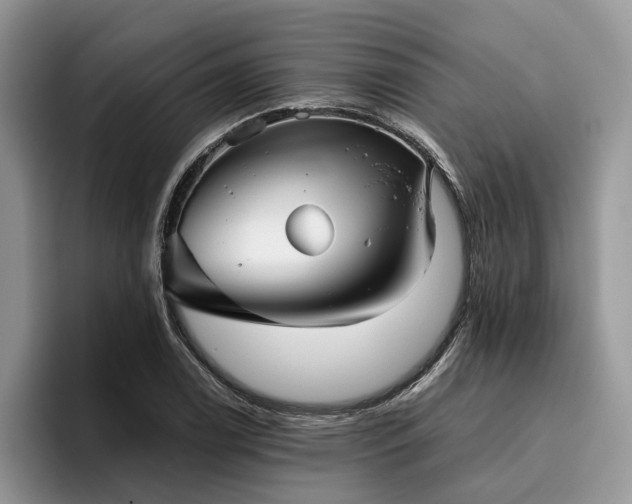 X0000096211122200801181425