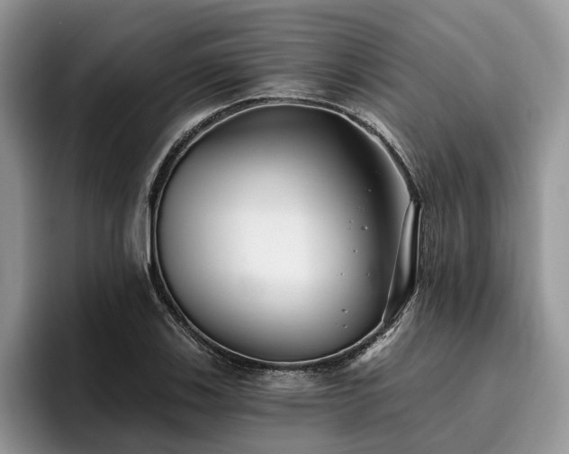 X0000096211123200801181425