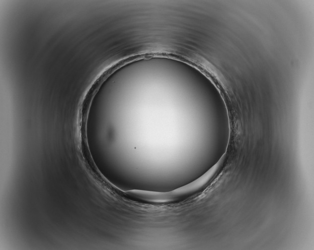 X0000096211124200801181425