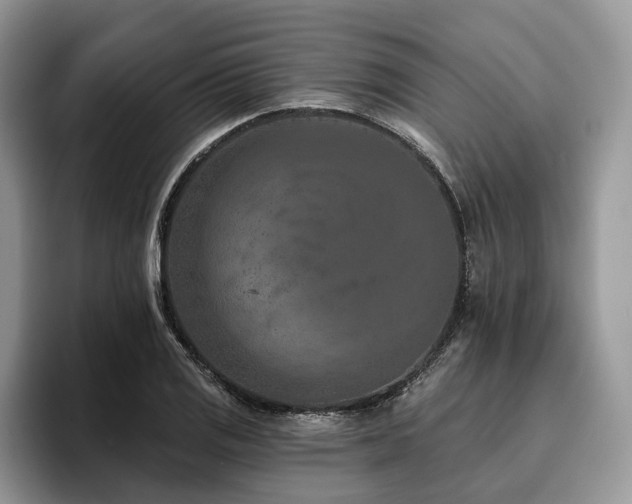 X0000096211125200801181425