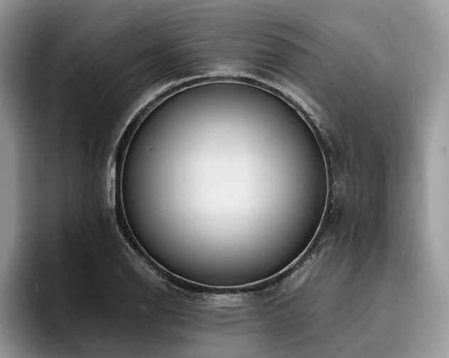X0000096211126200801181425