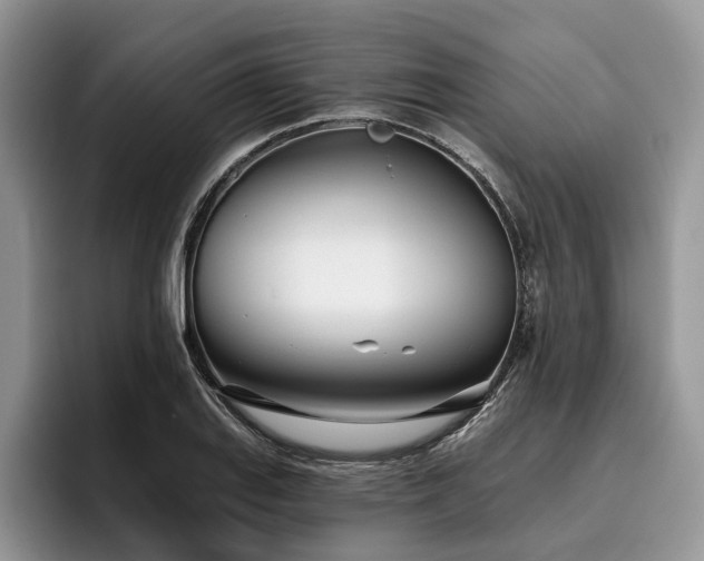 X0000096211127200801181425