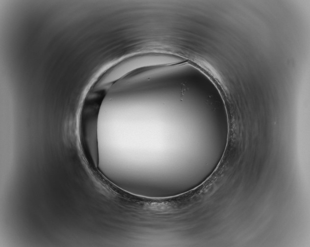X0000096211128200801181425