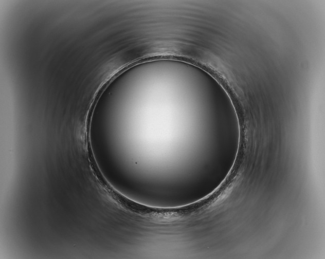 X0000096211129200801181425