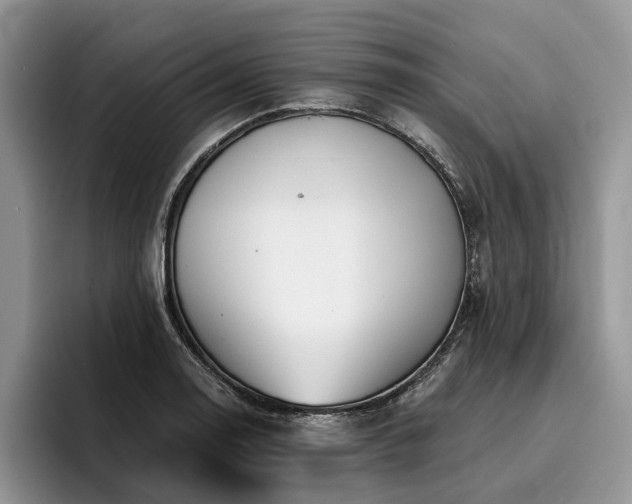X0000096211130200801181425