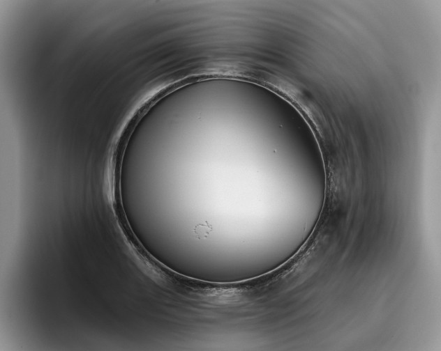 X0000096211131200801181425