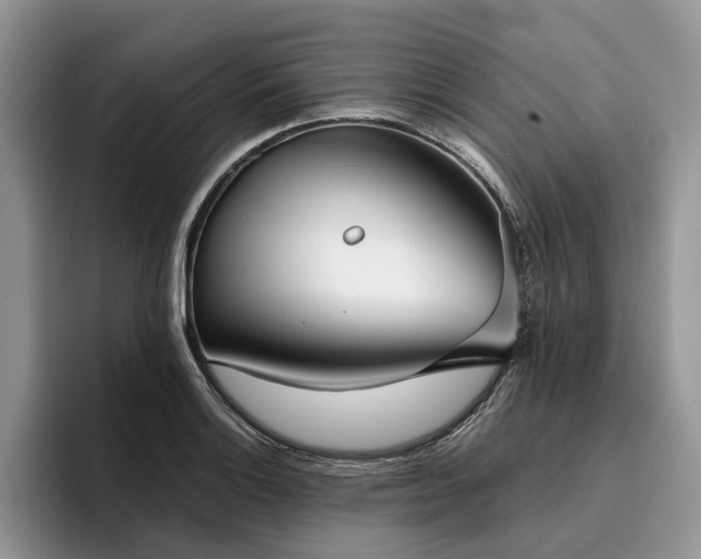X0000096211132200801181425