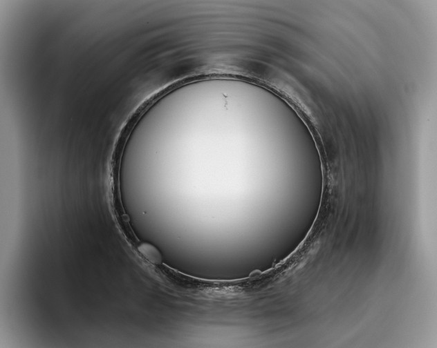 X0000096211133200801181425