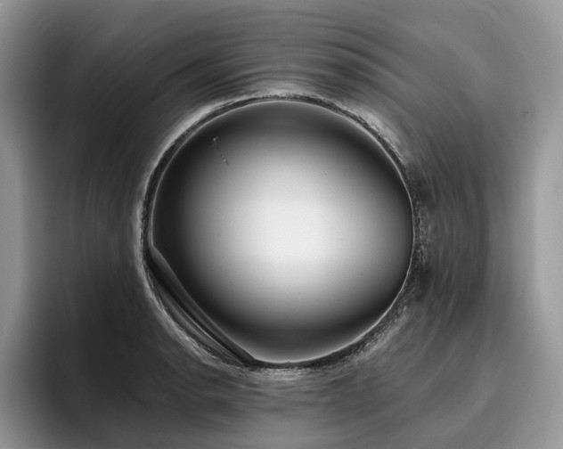 X0000096211134200801181425