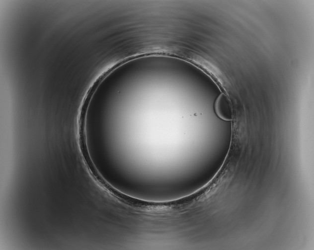 X0000096211135200801181425