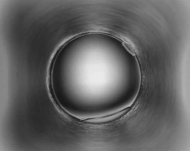 X0000096211136200801181425