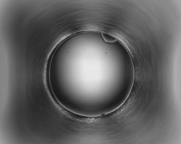 X0000096211139200801181425