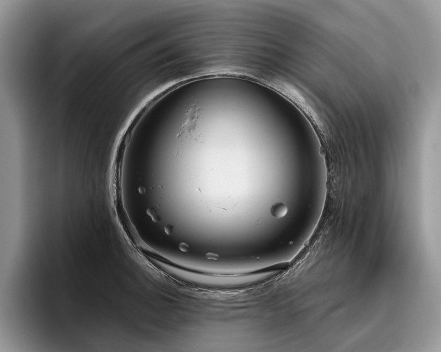 X0000096211140200801181425