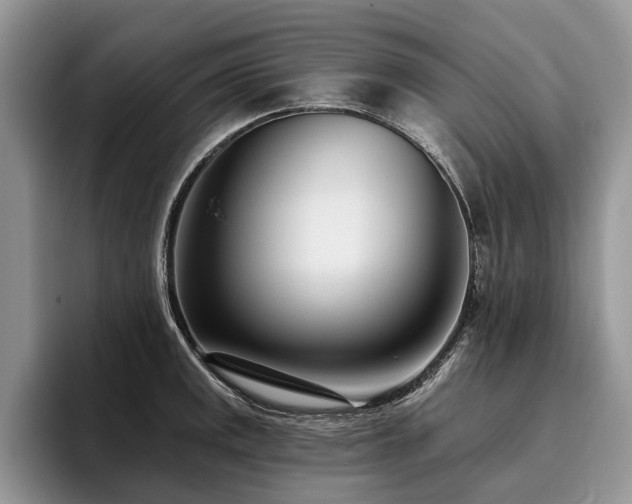 X0000096211141200801181425