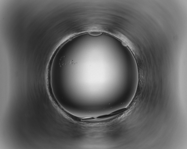 X0000096211142200801181425