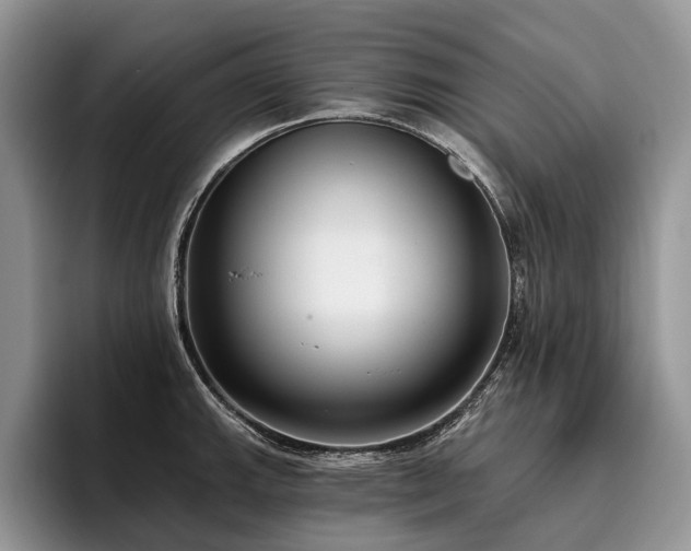 X0000096211143200801181425