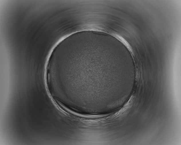 X0000096211144200801181425