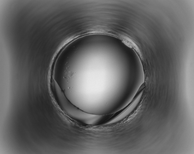 X0000096211146200801181425