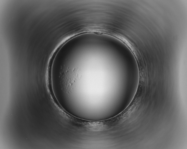 X0000096211147200801181425