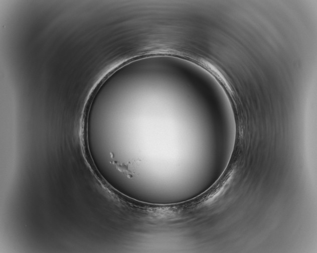 X0000096211149200801181425