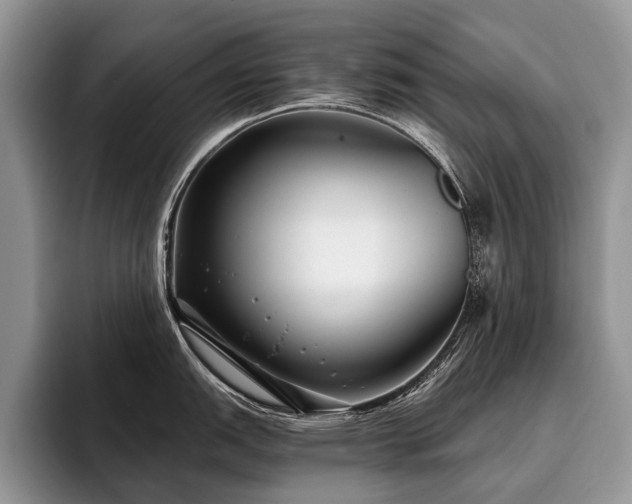 X0000096211151200801181425