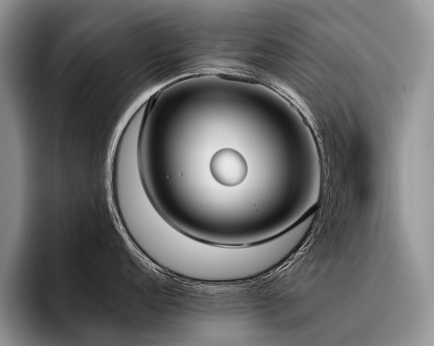 X0000096211152200801181425
