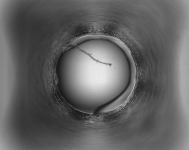 X0000096211153200801181424