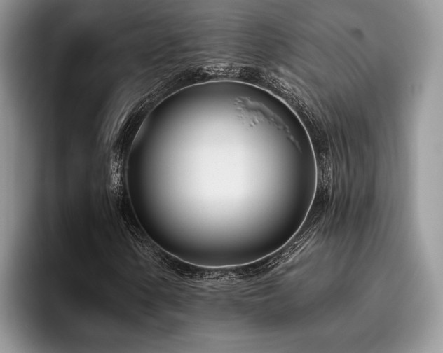 X0000096211154200801181424