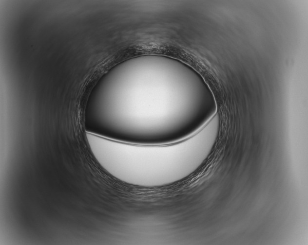 X0000096211156200801181424