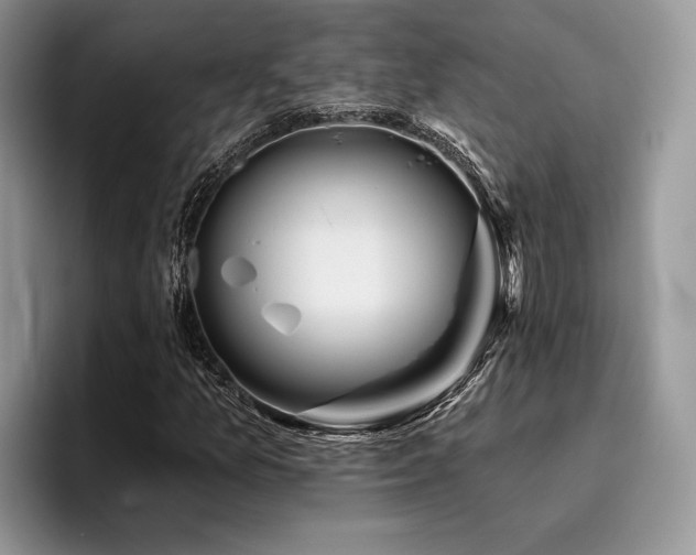 X0000096211157200801181424