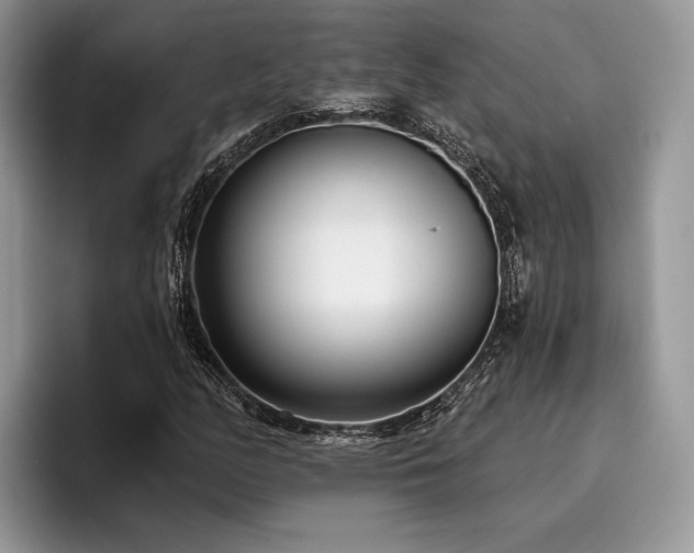 X0000096211158200801181424