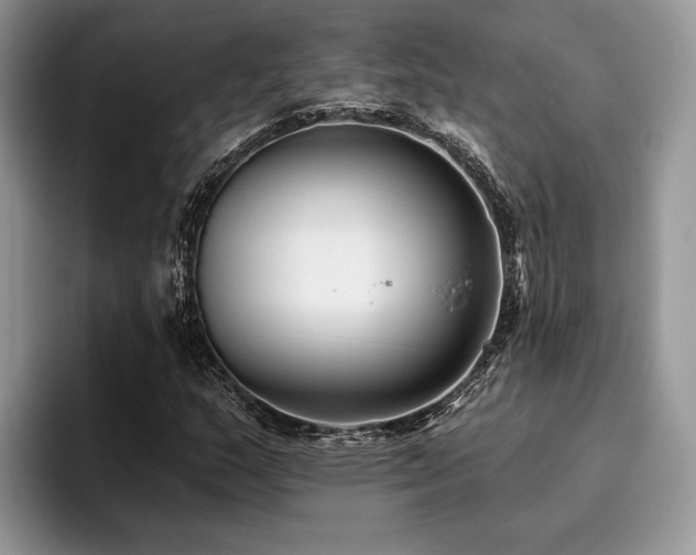 X0000096211159200801181424
