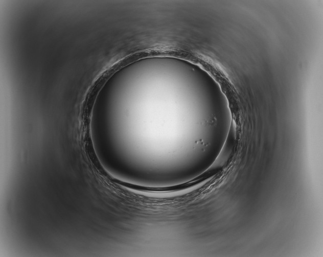 X0000096211160200801181424