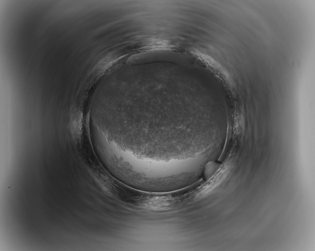 X0000096211161200801181424